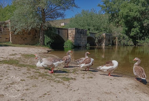 Sala de Apuestas Ayuntamiento de San Miguel de Bernuy 