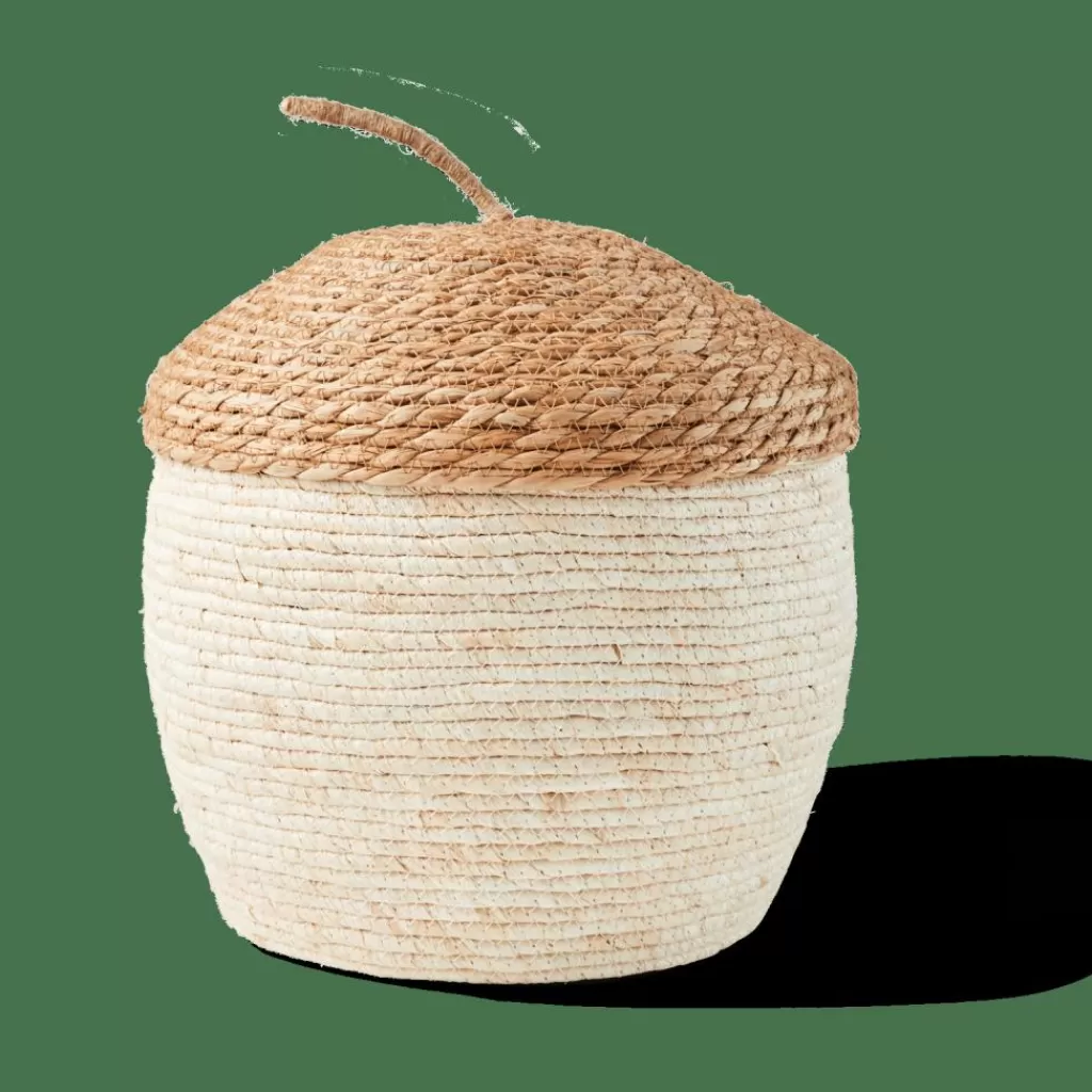 Cesto Organizador CASA ALVIN con Tapa - Diseño en Tonos Naturales y Marrón, Ideal para Organizar en Otoño | Cestas Multiusos de Temporada