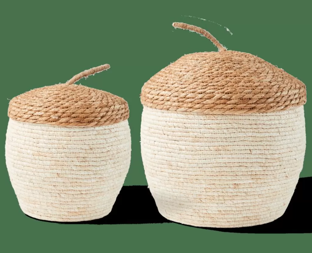Cesto Organizador CASA ALVIN con Tapa - Diseño en Tonos Naturales y Marrón, Ideal para Organizar en Otoño | Cestas Multiusos de Temporada