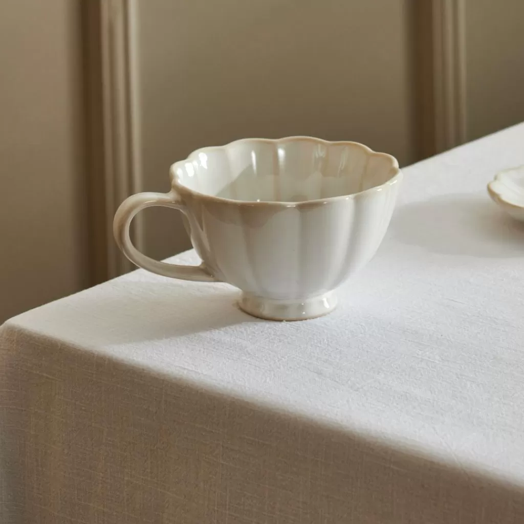 Infusor Ecológico para Hierbas Aromáticas + Kit Completo de Preparación - CASA BASIC