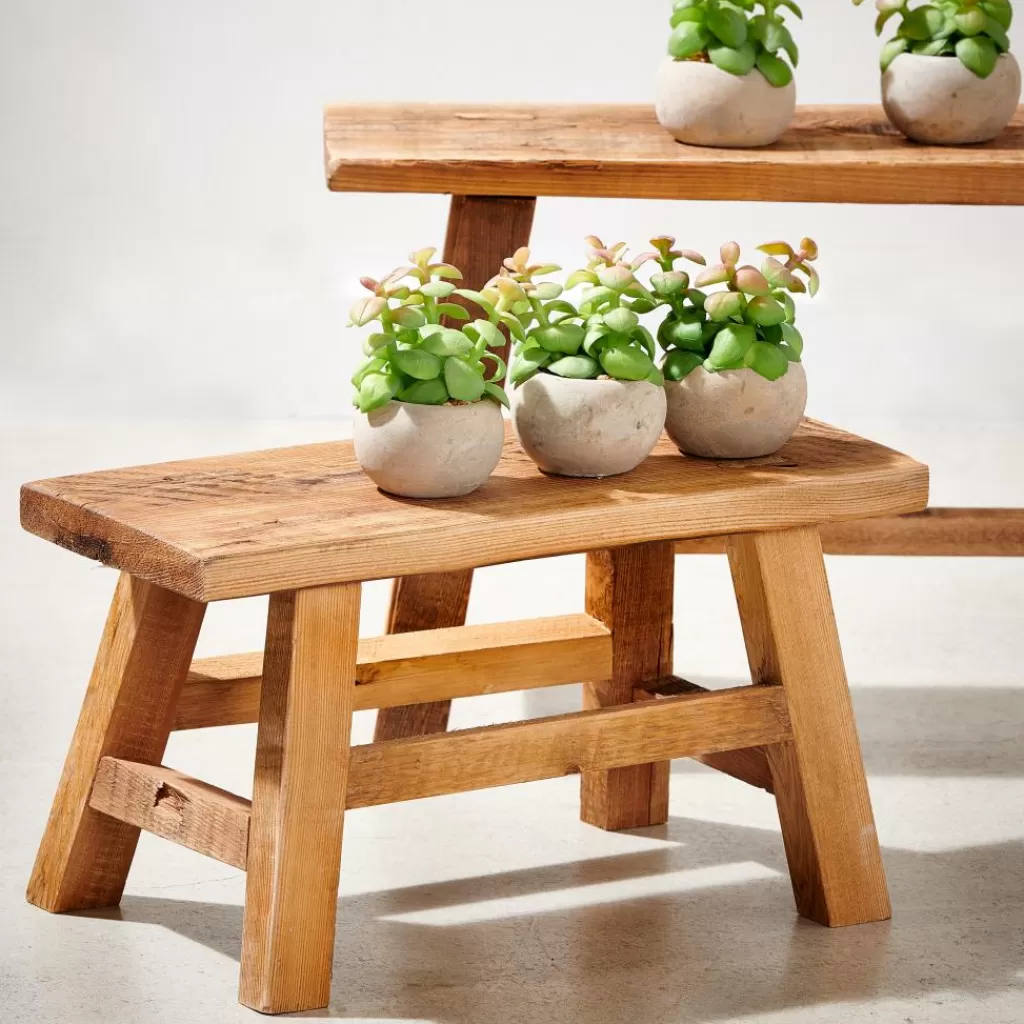 Buxus Decorativa: Set de Plantas Artificiales Multicolor para Interior sin Mantenimiento