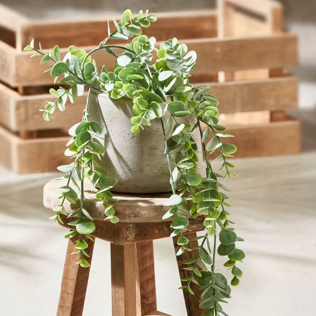 CASA CHRYSANTHEMUM - Crisantemos Decorativos en Tono Arena para Interiores