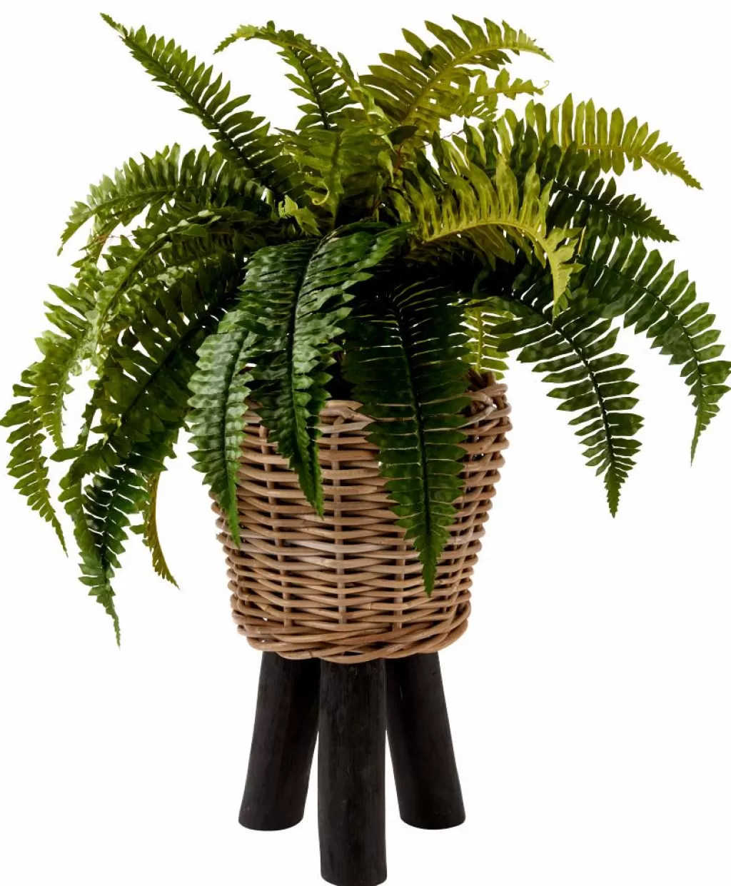 Maceteros Rústicos CASA COTTAGE - Jardineras Versátiles para Interior y Exterior | Recipientes Decorativos para Plantas de Hogar y Terraza 

(，