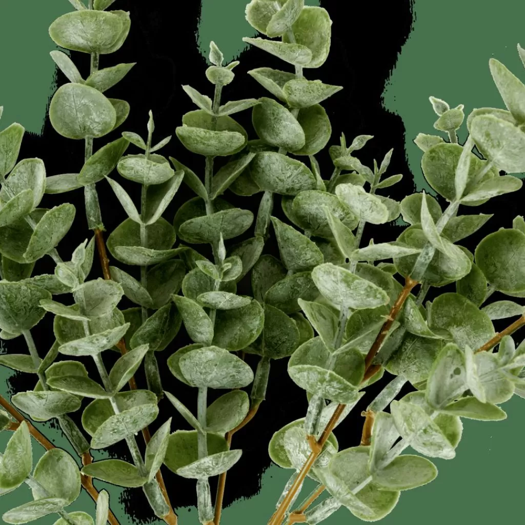 CASA EUCALYPTUS - Arreglo decorativo de eucalipto natural con follaje perenne para interiores