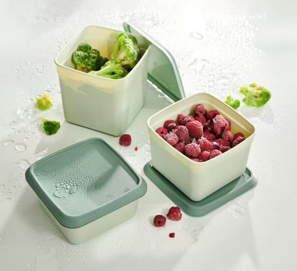 Juego Práctico de 10 Contenedores Herméticos para Congelador - Recipientes Duraderos para Alimentos en Tonos Menta Refrescante y Verde Oscuro Elegante