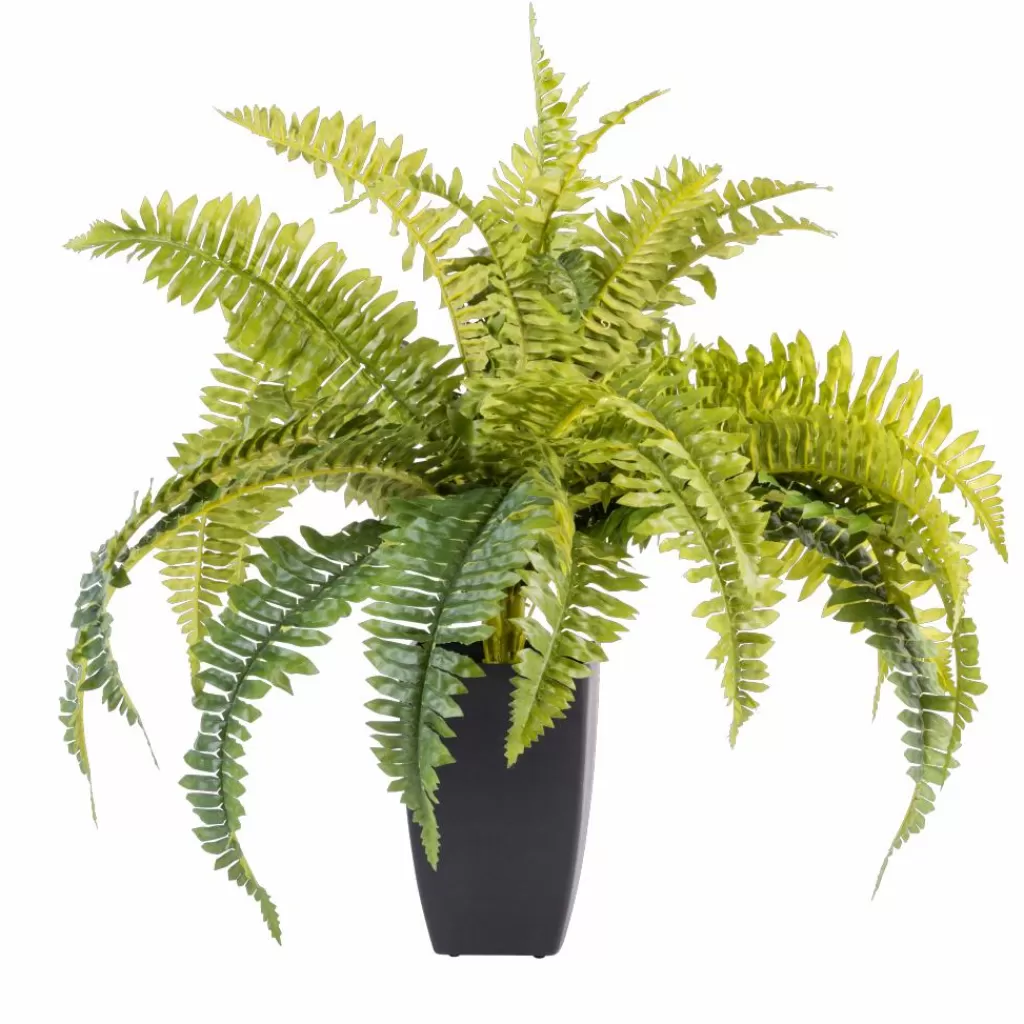 Maceta Moderna para Plantas en Negro Elegante con Soportes Integrados - Casa Largo Diseño Funcional