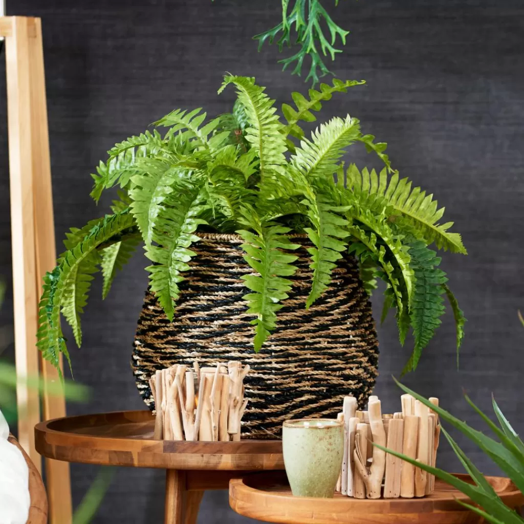 Maceta Moderna para Plantas en Negro Elegante con Soportes Integrados - Casa Largo Diseño Funcional