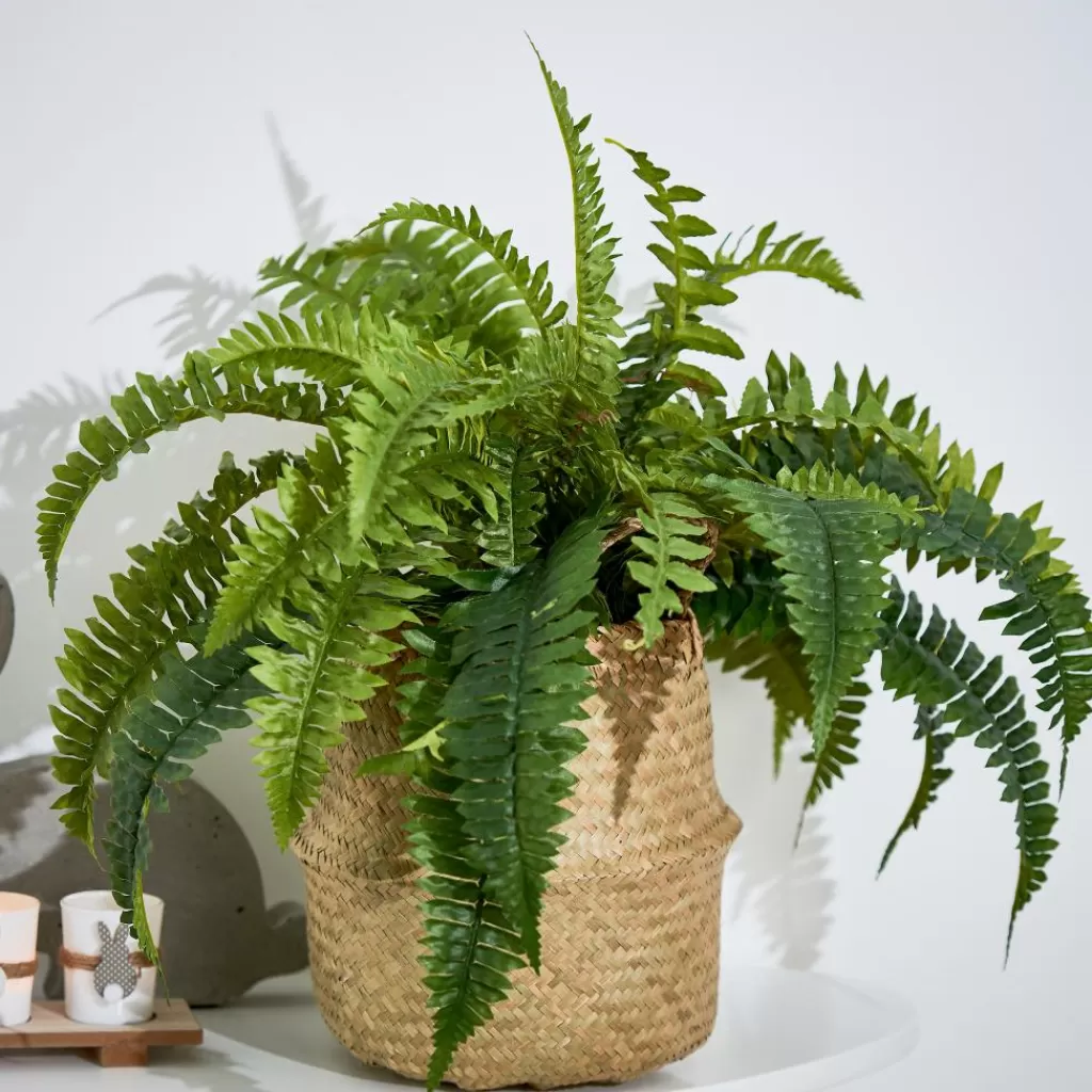 Maceta Moderna para Plantas en Negro Elegante con Soportes Integrados - Casa Largo Diseño Funcional