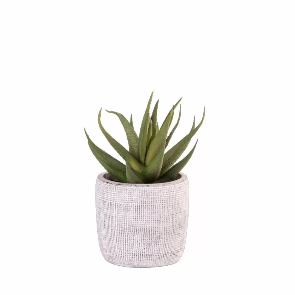Maceta Moderna para Plantas en Negro Elegante con Soportes Integrados - Casa Largo Diseño Funcional