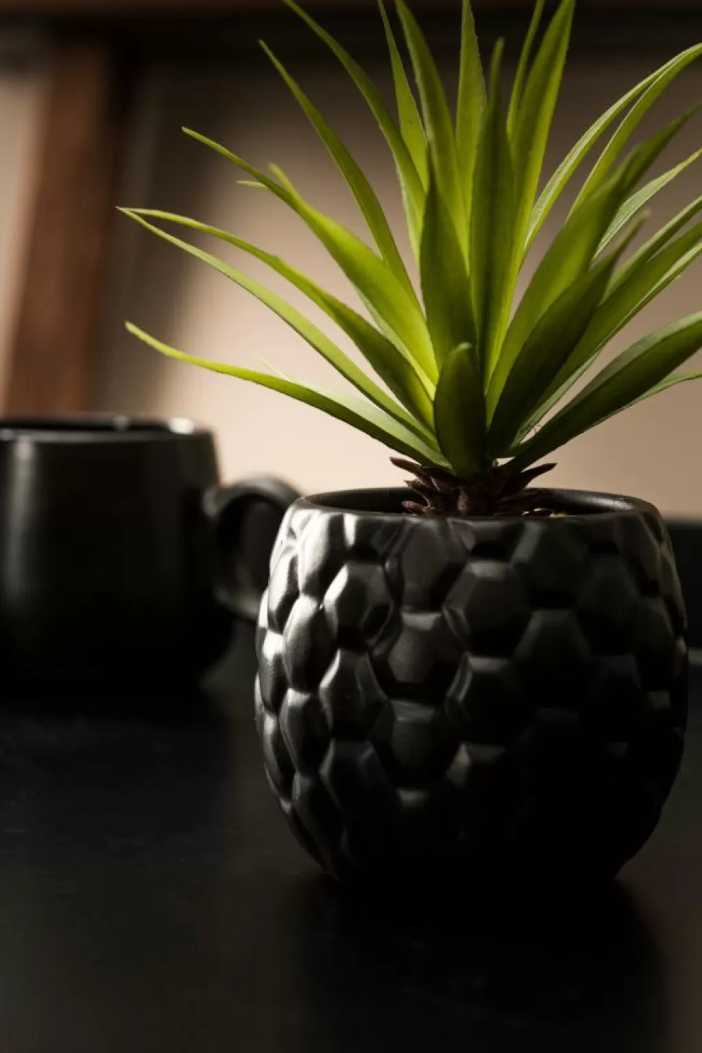 Maceta Moderna para Plantas en Negro Elegante con Soportes Integrados - Casa Largo Diseño Funcional