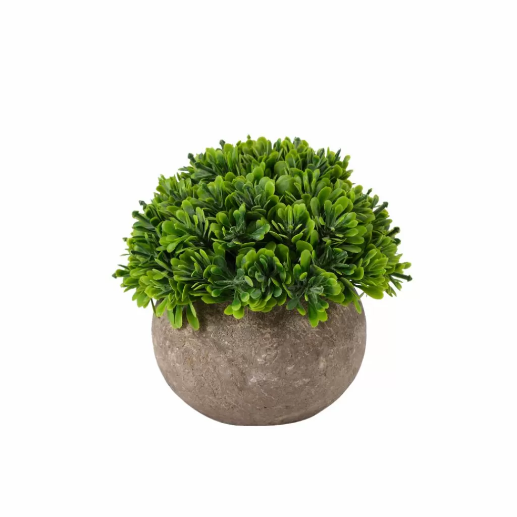 Maceta Moderna para Plantas en Negro Elegante con Soportes Integrados - Casa Largo Diseño Funcional