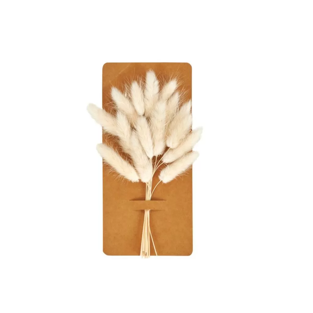 Flores Secas Decorativas CASA MINA - Arreglo Blanco Premium con Estilo Minimalista en Tonos Naturales