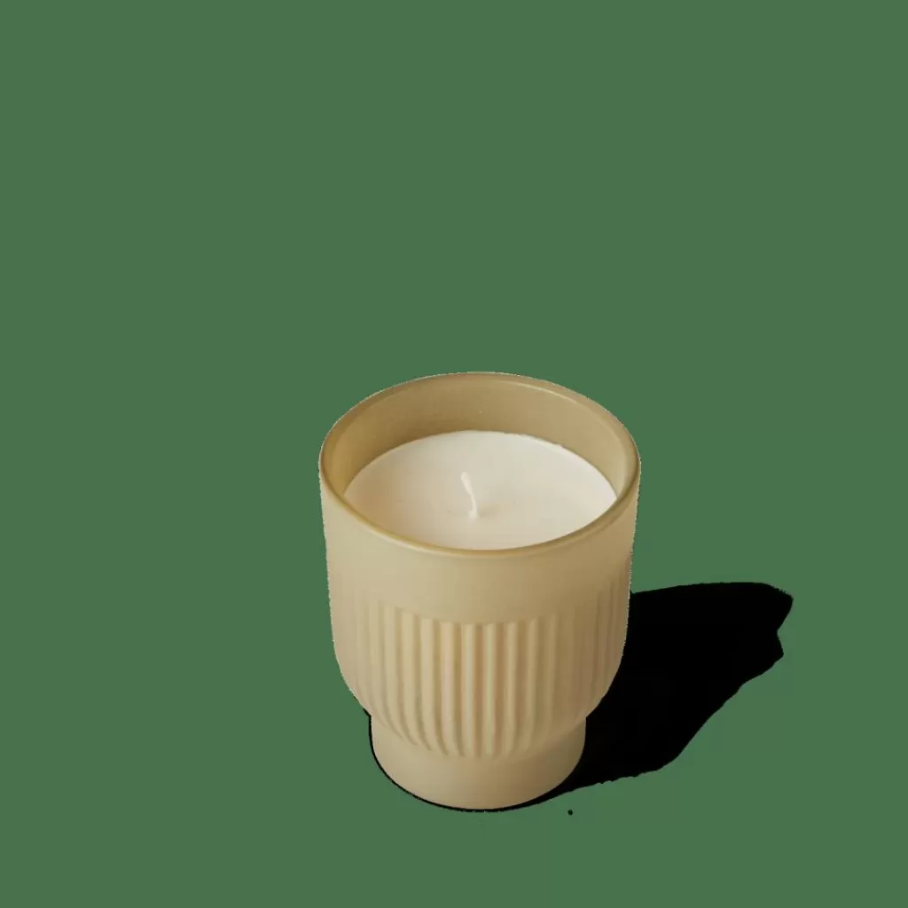 Velas Artesanales CASA MONA - Aroma Cálido de Ámbar y Vainilla en Soja Natural