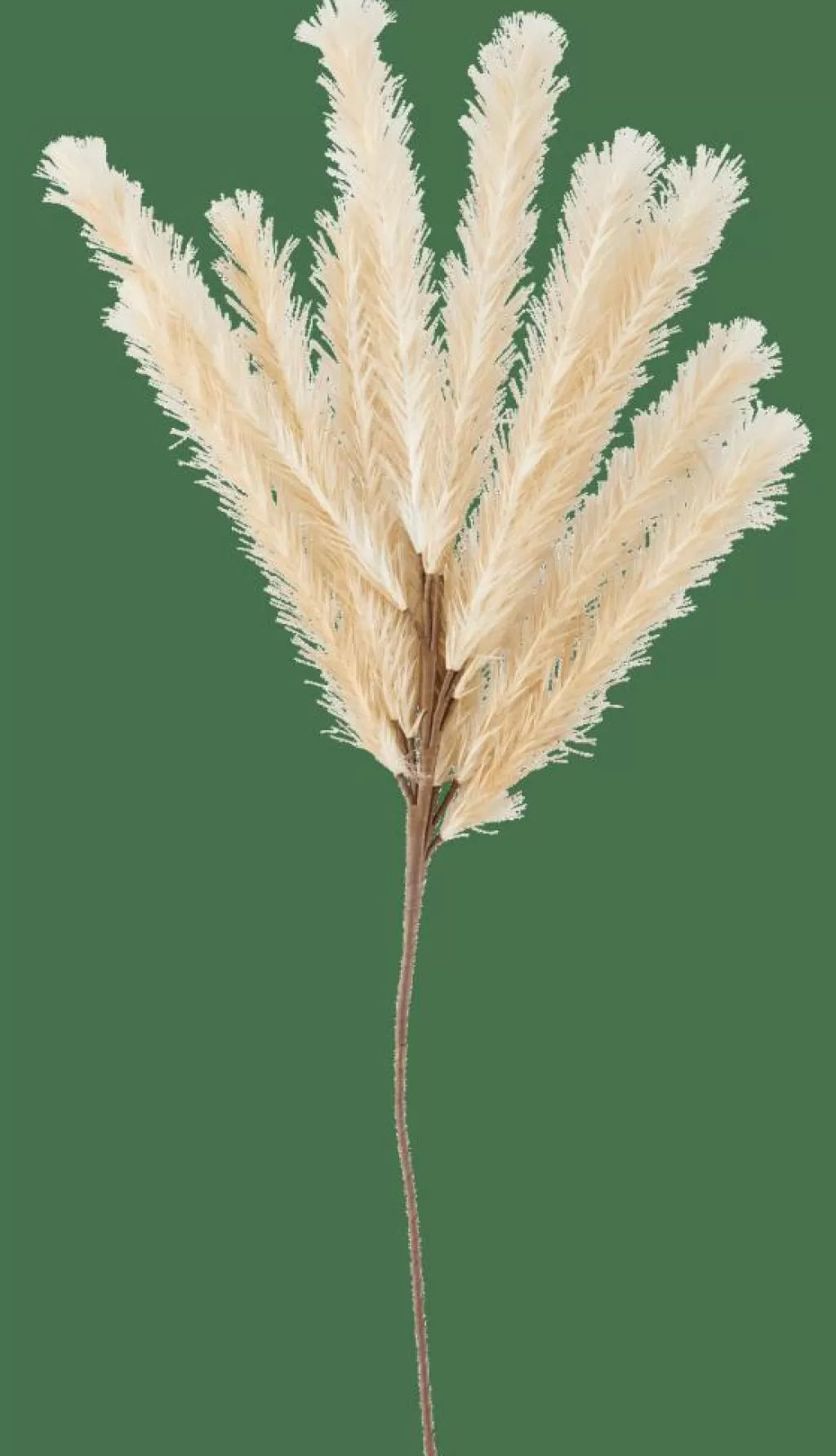 Plumas Decorativas Beige en Tono Natural - Ramas Sintéticas Elegantes para Hogar | Casa Plume Collection