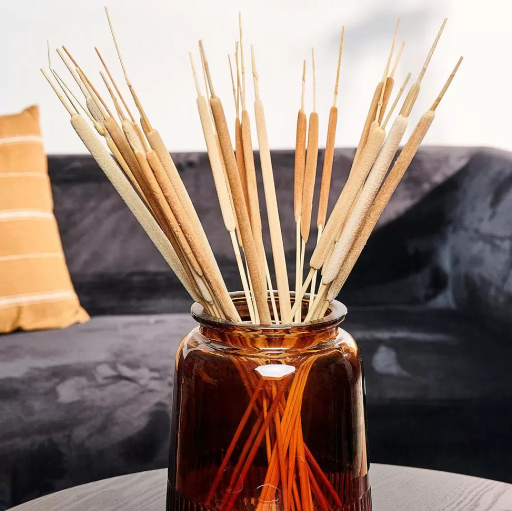 Cañas Palustres Artificiales CASA TYPHA - Juego de 15 Tallos con Flores Decorativas para Hogar y Jardín